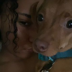 Meet your Posher, Paige